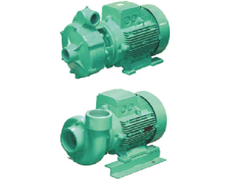 RENTA DE BOMBAS BECERRO